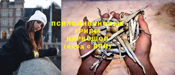 стафф Алзамай
