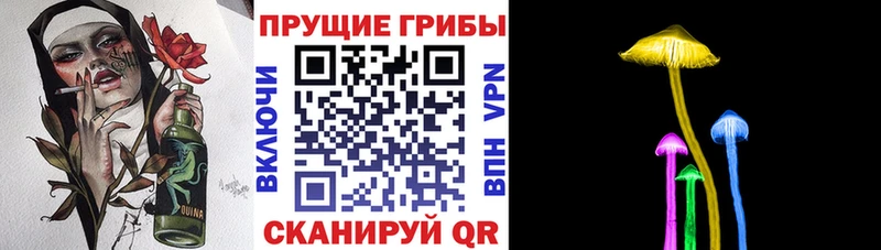 Галлюциногенные грибы Magic Shrooms  Петровск 